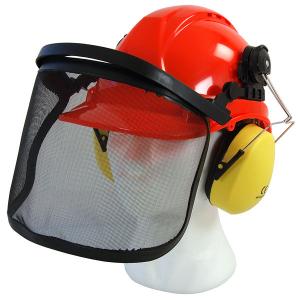 Safety Helmet With Face Shield And Ear Muffs - Sweeney Motor Factors